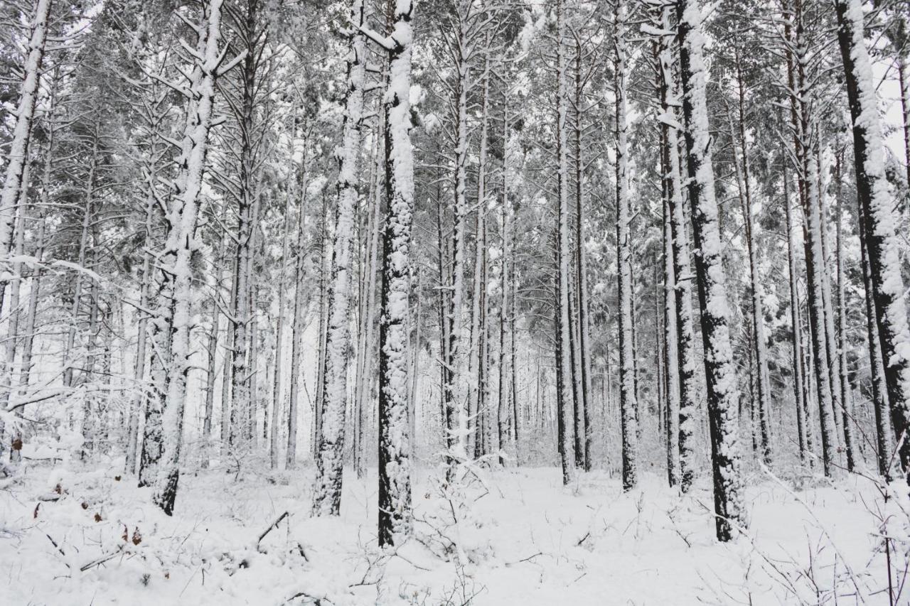 Jarzebinowa - Dom Do Wynajecia Na Podlasiu Luka Luaran gambar