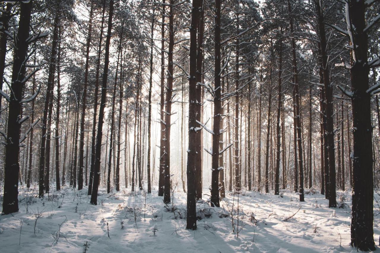 Jarzebinowa - Dom Do Wynajecia Na Podlasiu Luka Luaran gambar