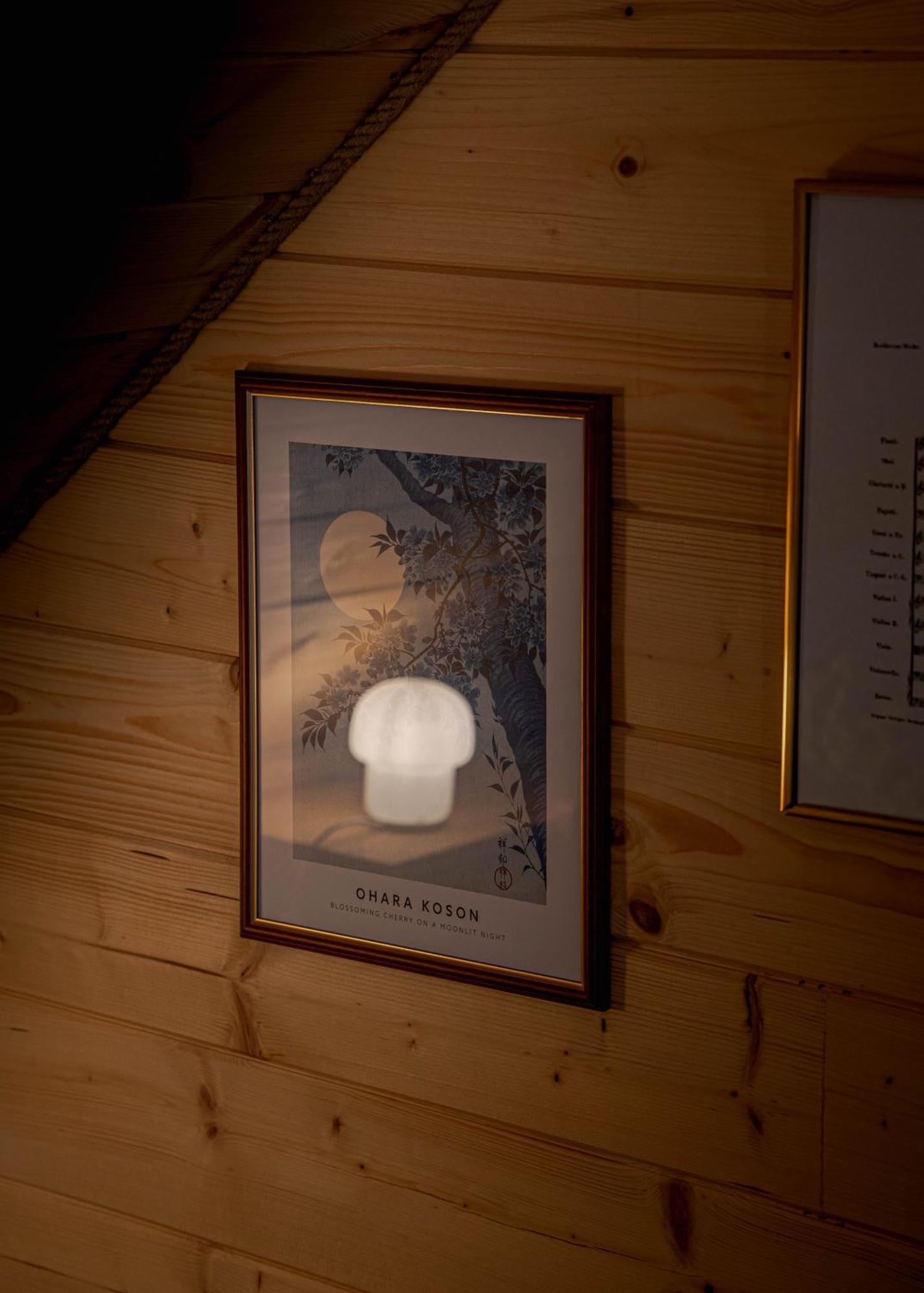 Jarzebinowa - Dom Do Wynajecia Na Podlasiu Luka Luaran gambar